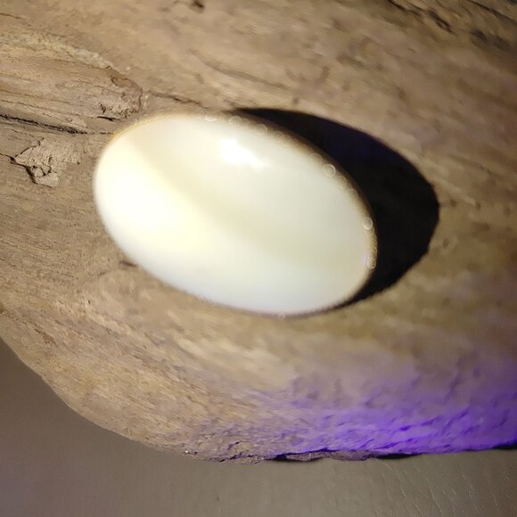 Oval Mother Pearl Scarf Clip Pony Tail  Hair Cover Vintage Secure Hinge Closure - Picture 4 of 16